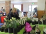 Spring Market 2015